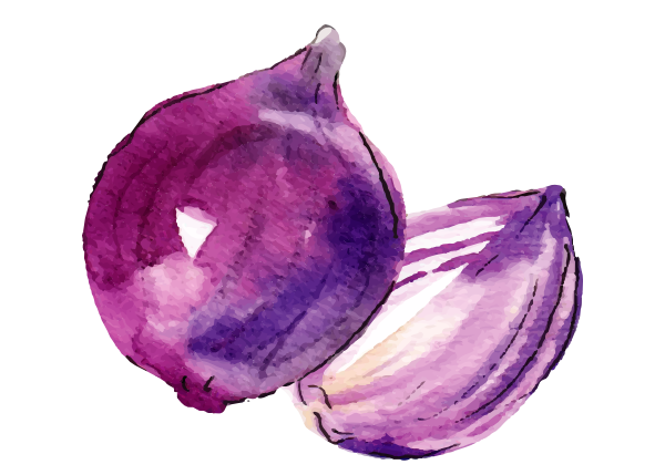 pink_onion_watercolor_seized
